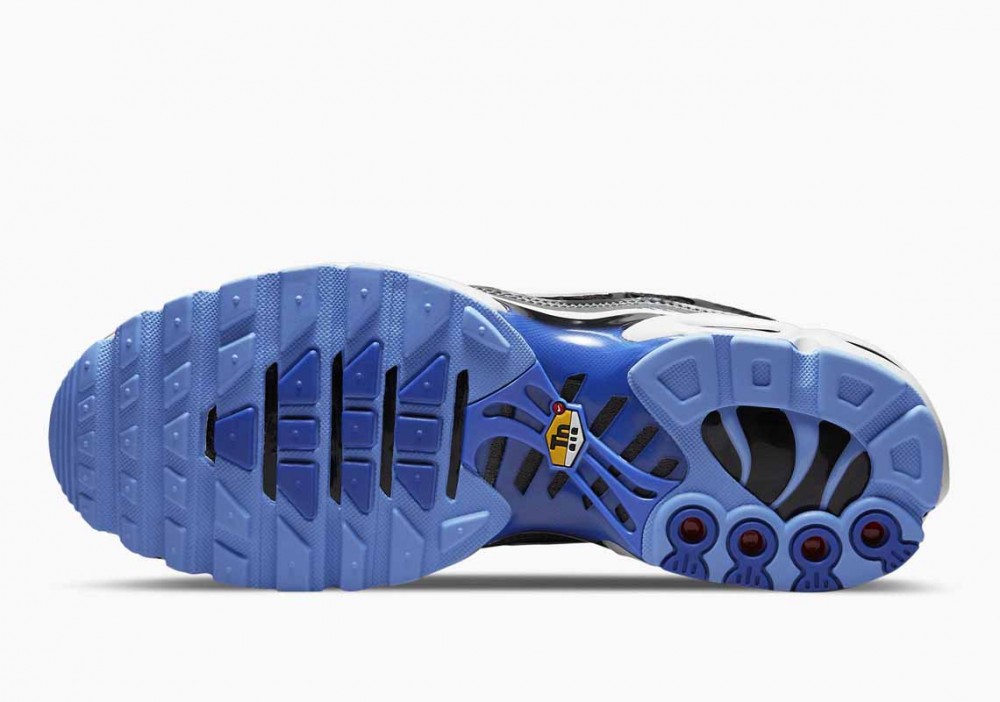 Nike Air Max Plus Negro Royal Azul Gris para Hombre