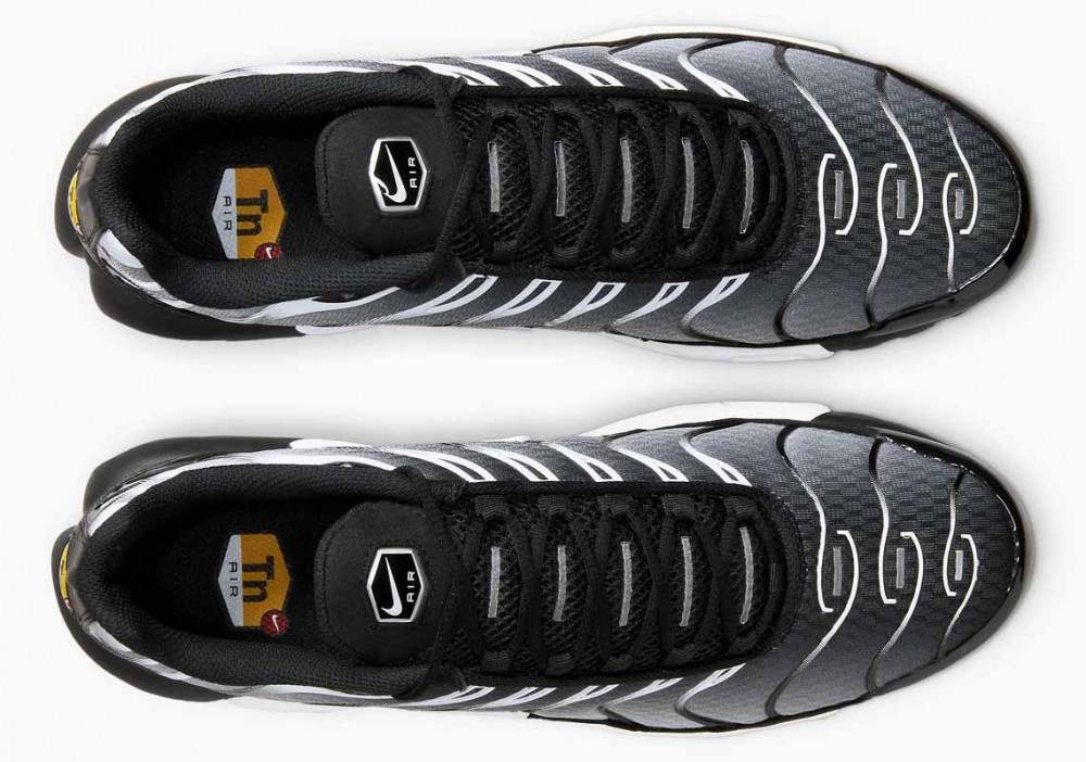 Nike Air Max Plus Negras Plata Metalizada para Hombre