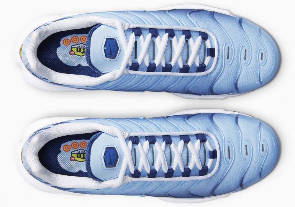 Nike Air Max Plus Azul Celestina Degradado para Hombre