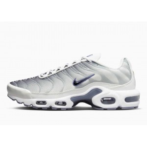 Nike Air Max Plus Grises Humo Blancas para Hombre