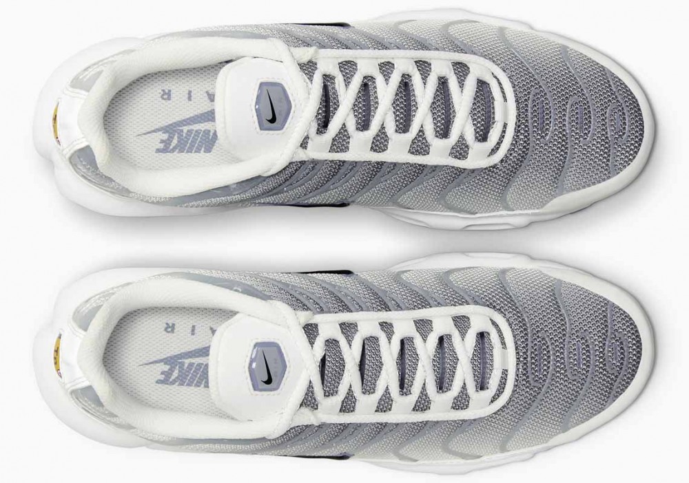 Nike Air Max Plus Grises Humo Blancas para Hombre